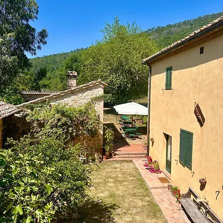 Appartement Podere Campalfi Medium Stigliano (Tuscany)