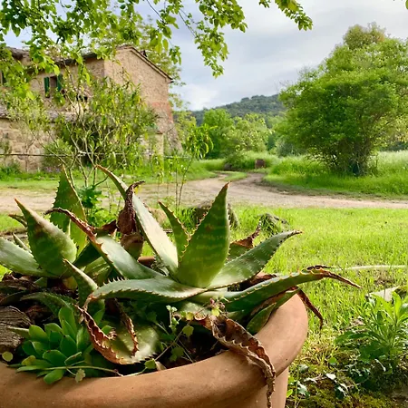 Podere Campalfi Medium Appartamento *